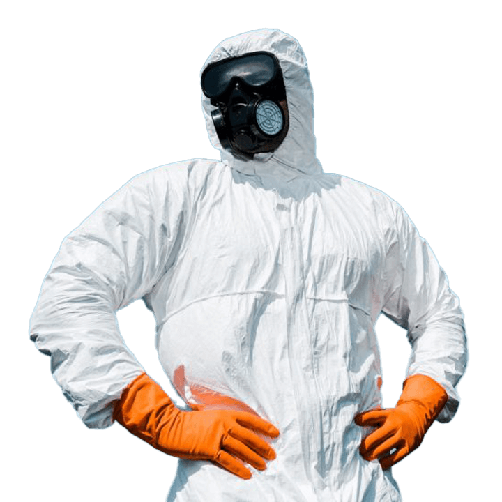 dezynfekcja, dezynsekcja, deratyzacja