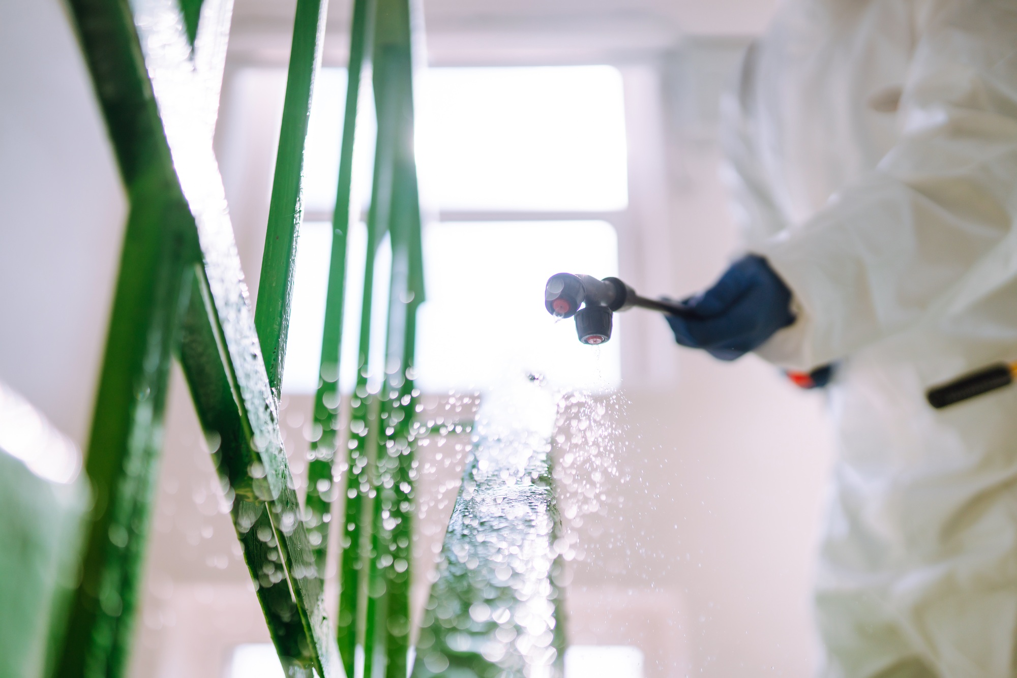 Dezynfekcja Warszawa